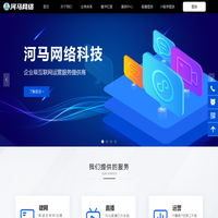 河马网络科技