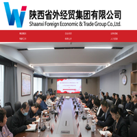陕西省外经贸集团有限公司