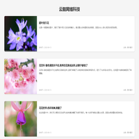 云脑网络科技