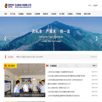 五凌电力有限公司