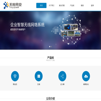 武汉天悦网安信息技术有限公司-新安全、混合云行业领先者